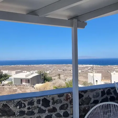 White Φοινικιά